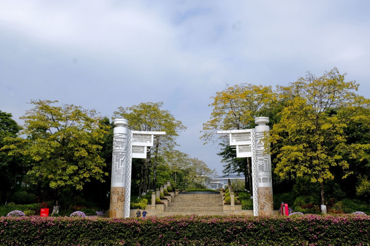 罗岗公园随拍（二）