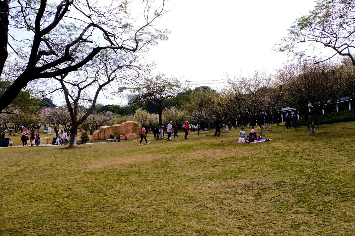 罗岗公园随拍（二）