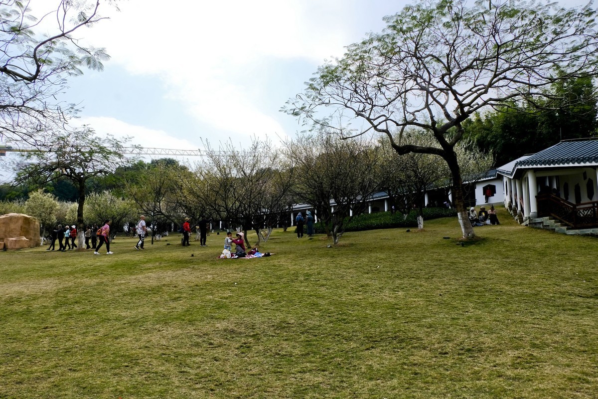 罗岗公园随拍（二）