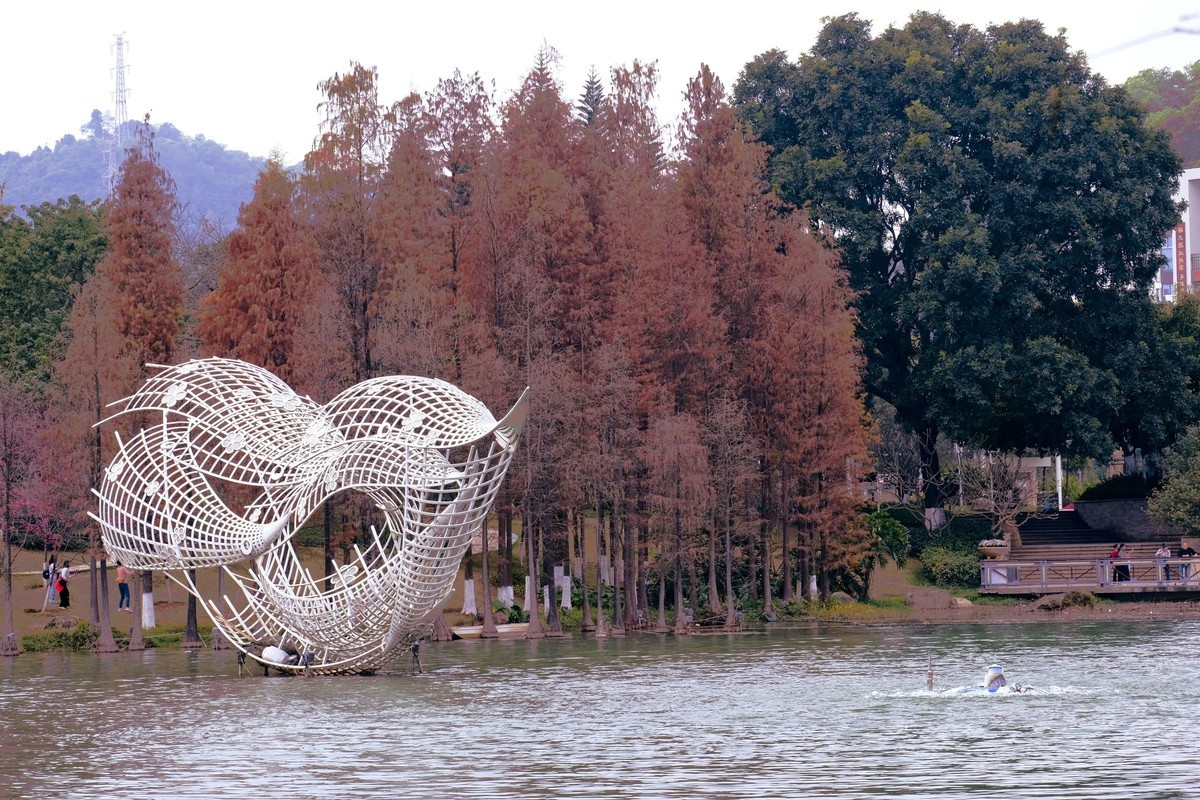 罗岗公园随拍（二）