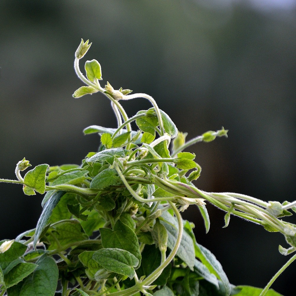 抱团向上不分离1