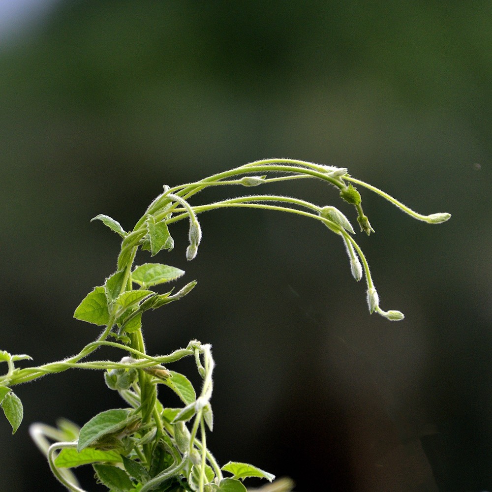 抱团向上不分离1