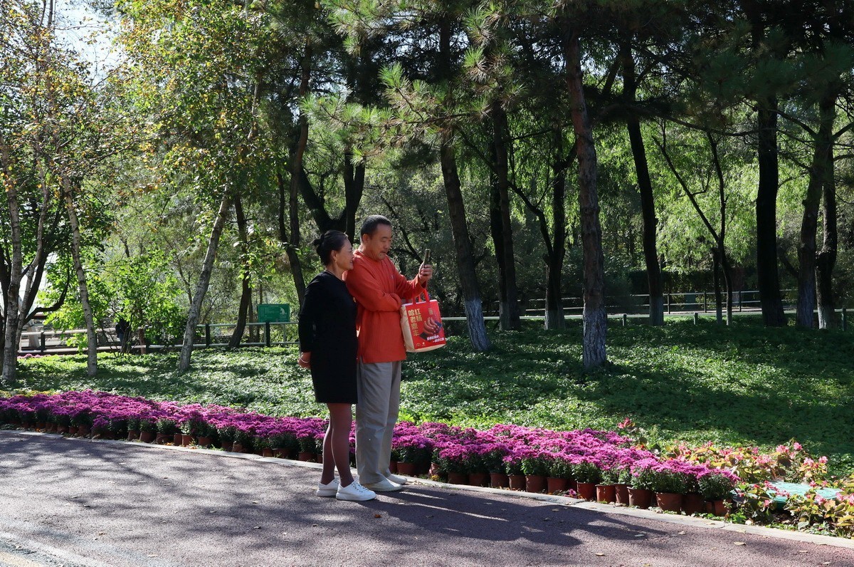 假日遊园 . 黛秀    1