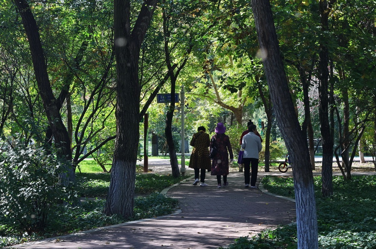 假日遊园 . 黛秀    1