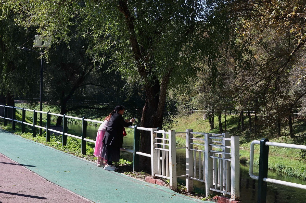 假日遊园 . 黛秀    1