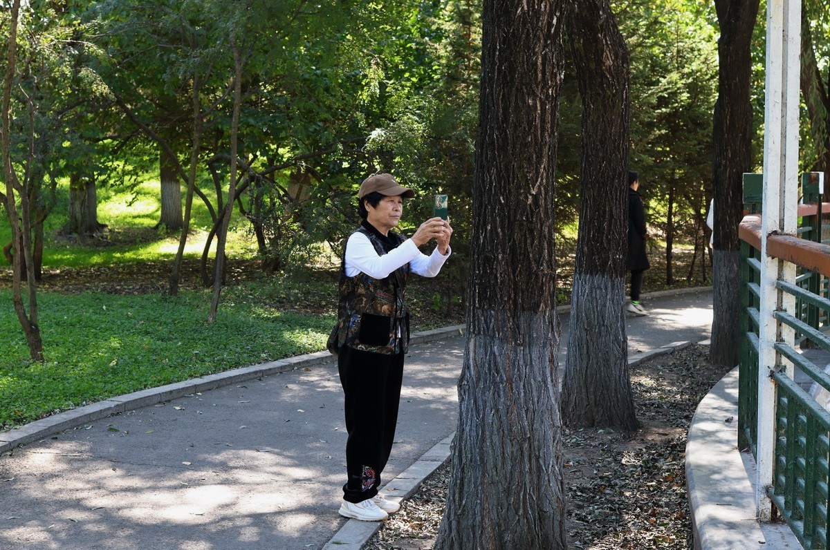 假日遊园 . 黛秀    1