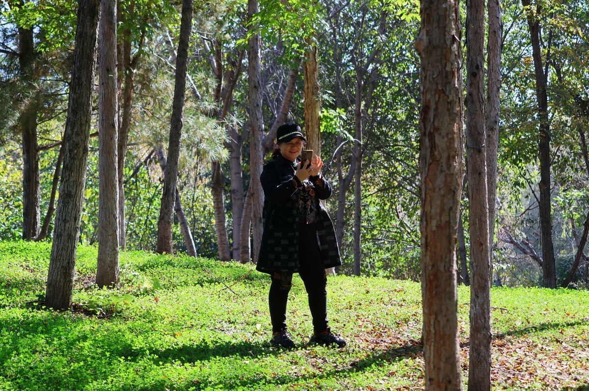 假日遊园 . 黛秀    1