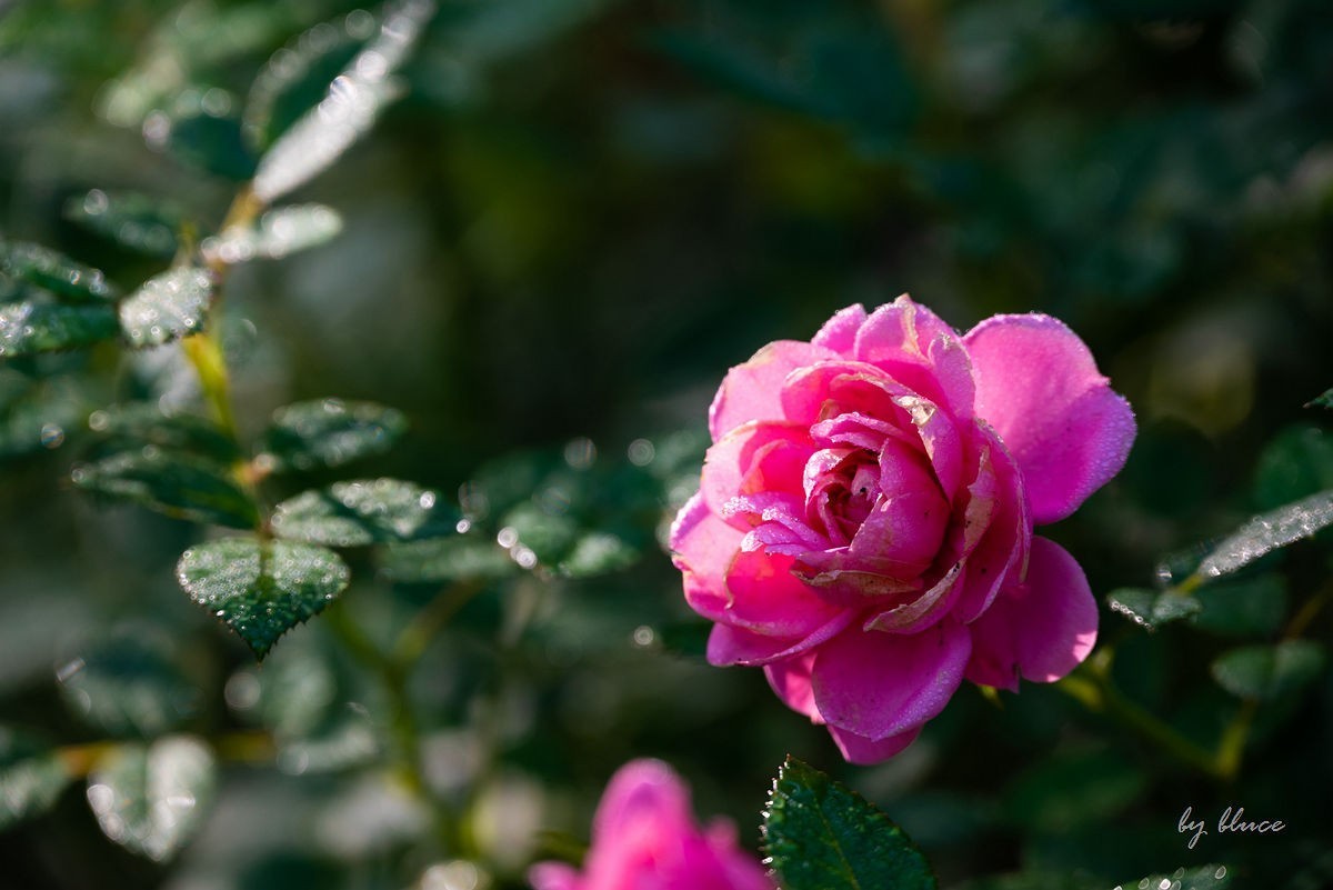 世博文化园随拍