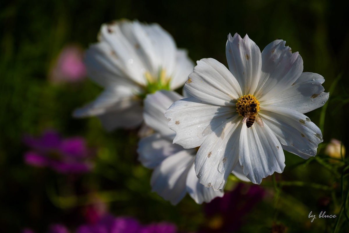 世博文化园随拍