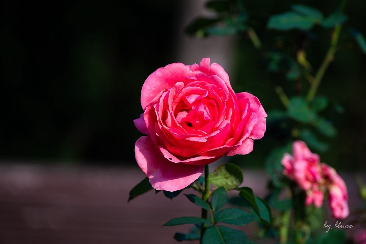 世博文化园随拍