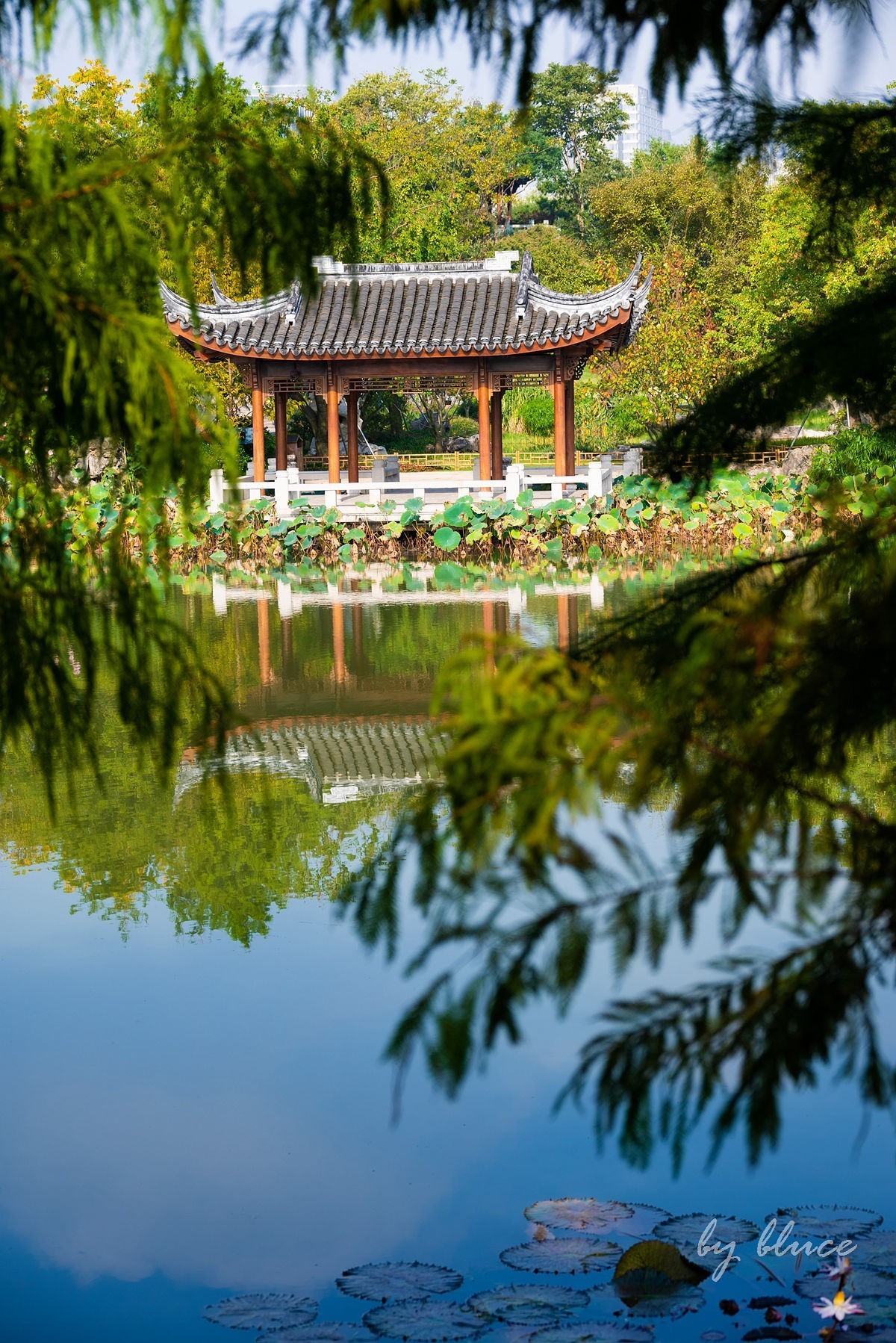 世博文化园随拍