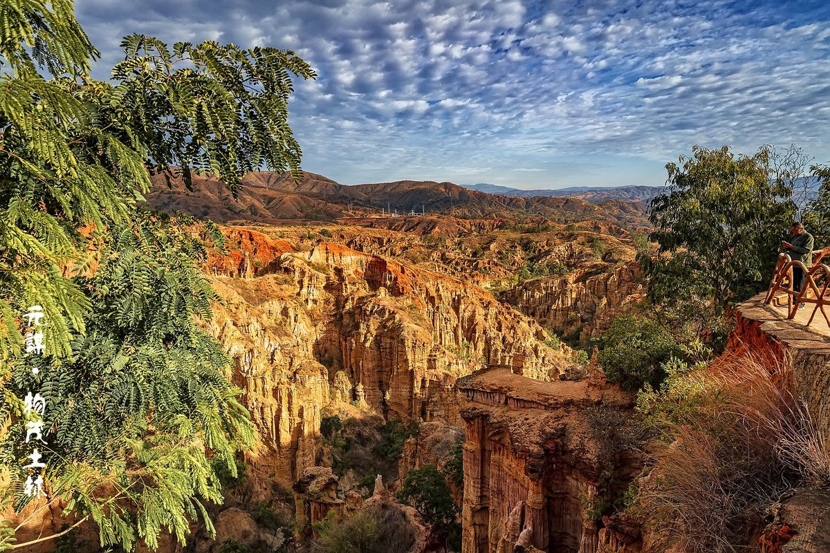 云南元谋 ·  物茂土林
