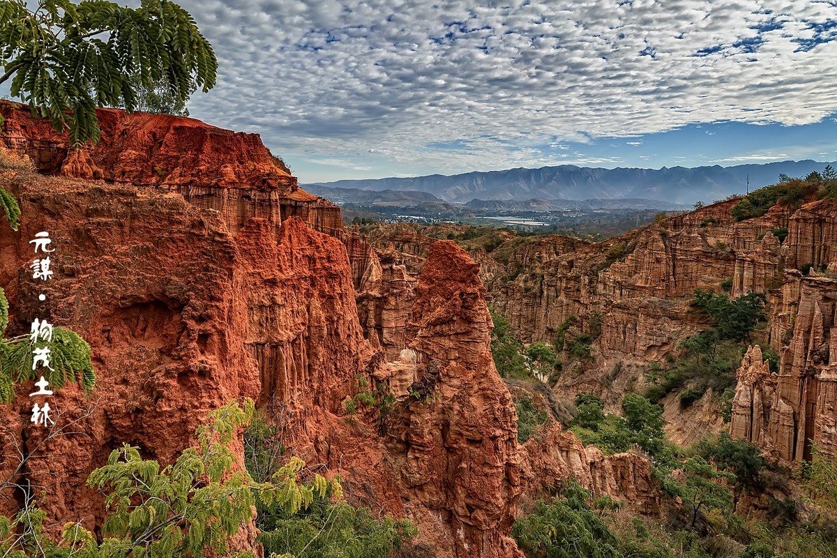 云南元谋 ·  物茂土林