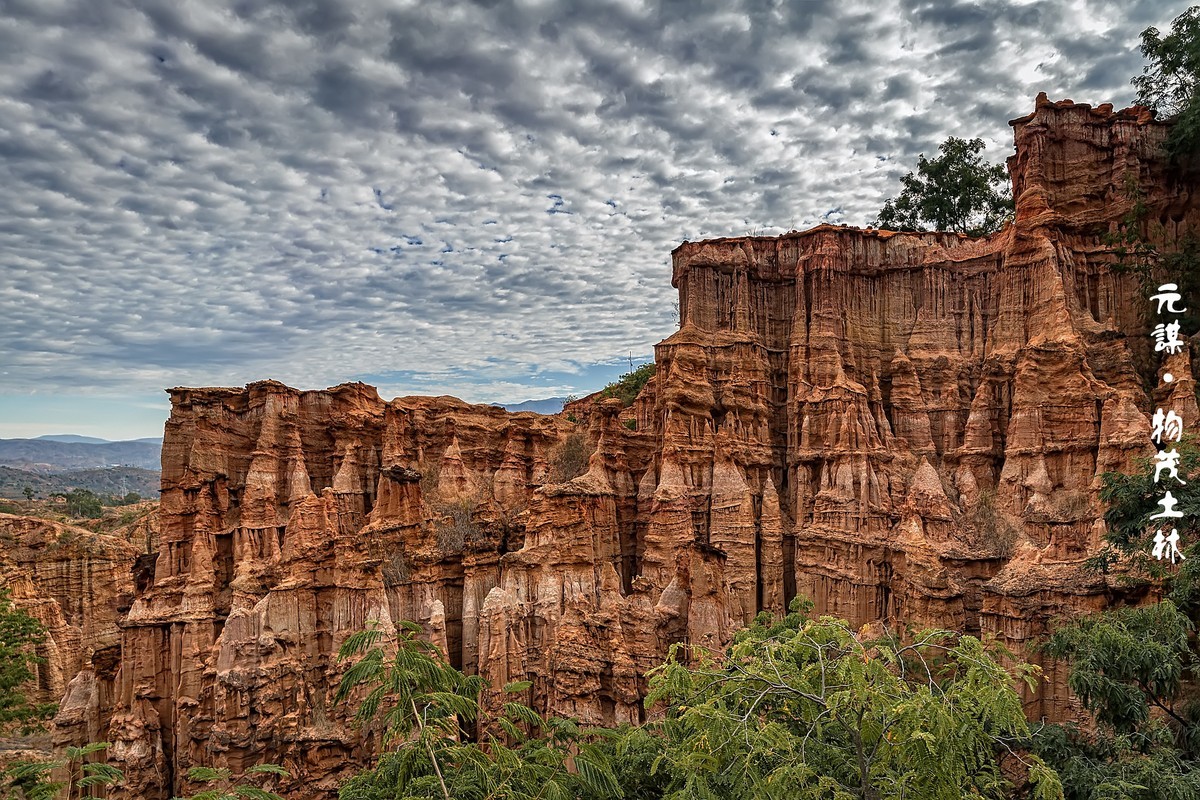 云南元谋 ·  物茂土林
