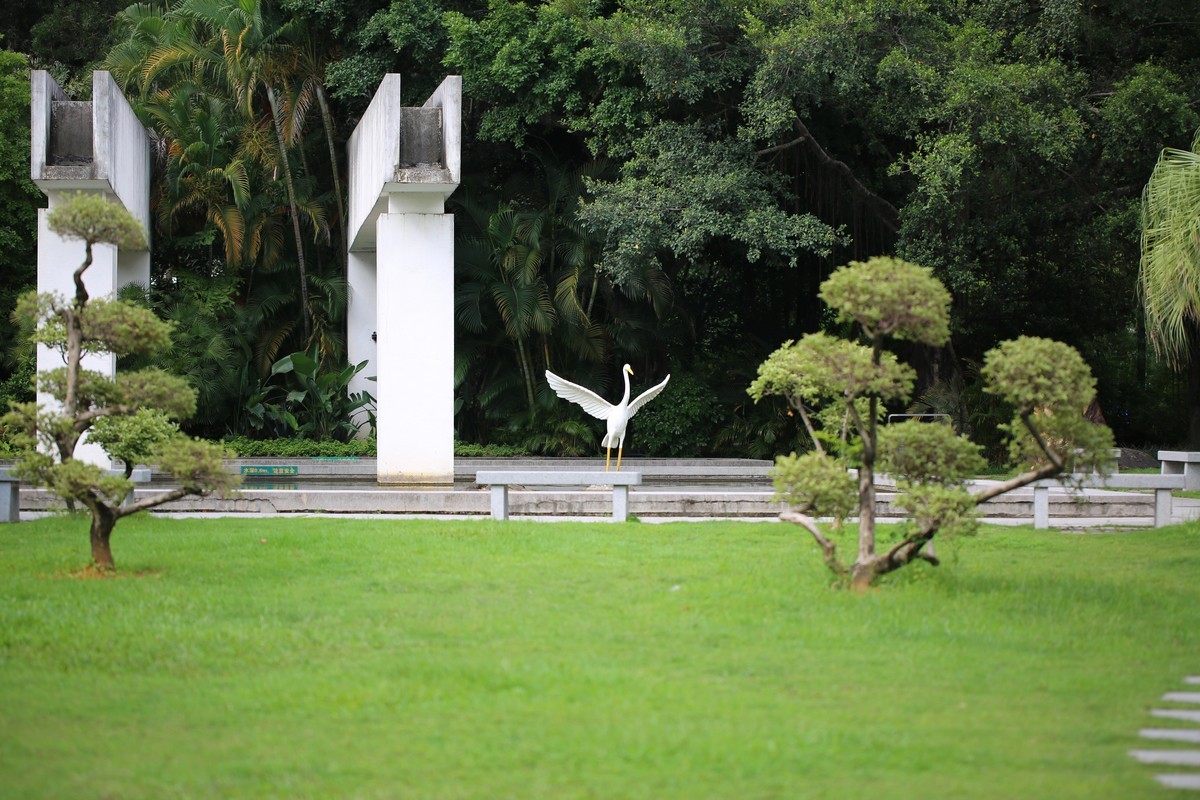 06.02花都人民公园随拍