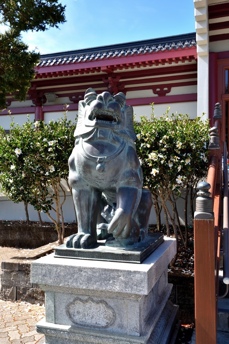 新西兰北岛佛光山    1/3