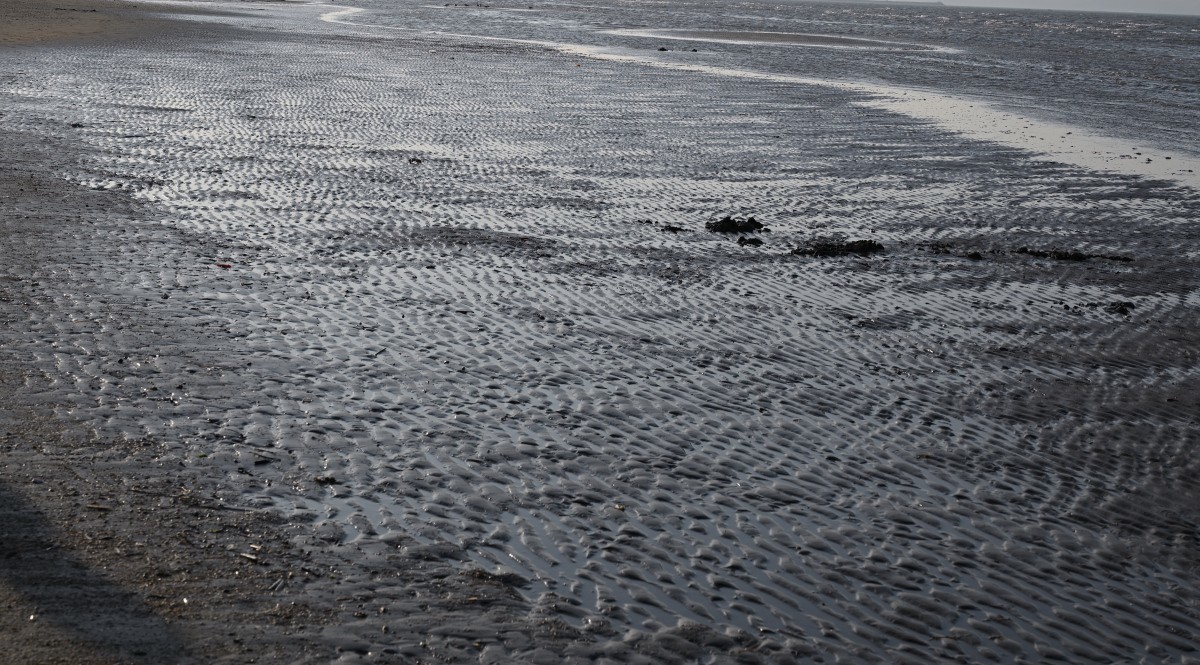 初冬的夏家河子-寂寞的海滩