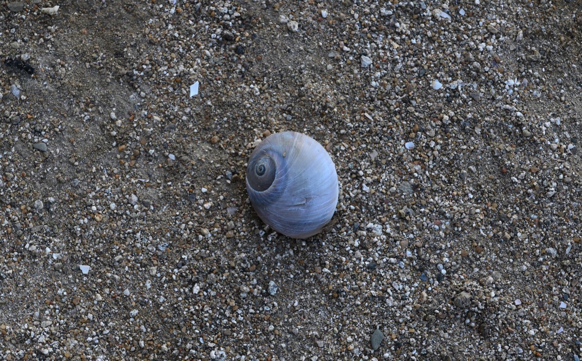 初冬的夏家河子-寂寞的海滩