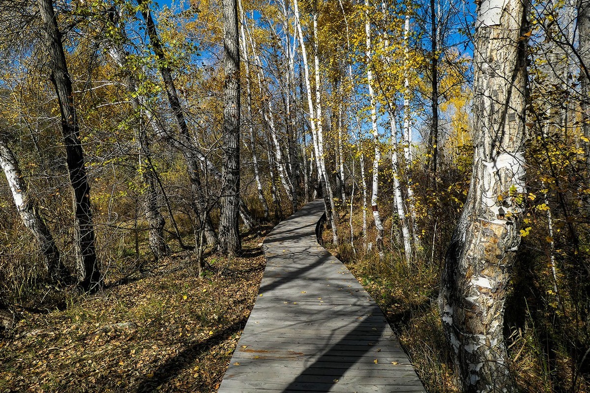 新疆阿勒泰红山公园随拍