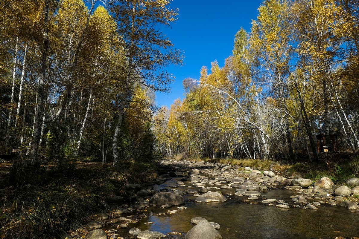 新疆阿勒泰红山公园随拍