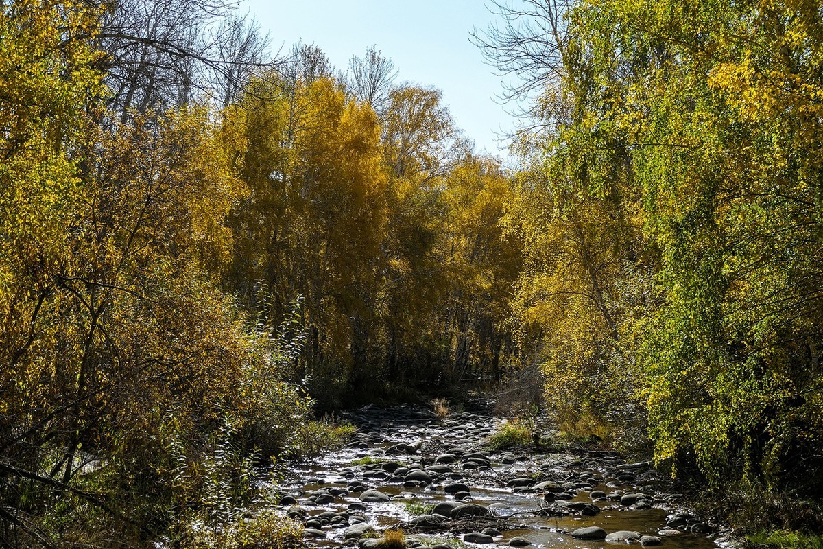 新疆阿勒泰红山公园随拍