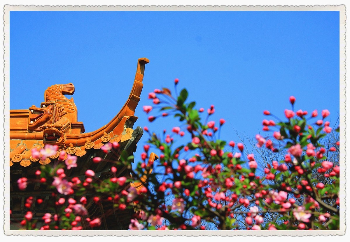 四季中最美丽的季节之一