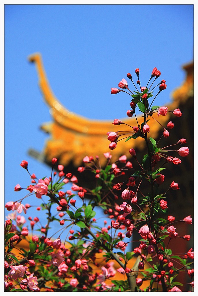 四季中最美丽的季节之一