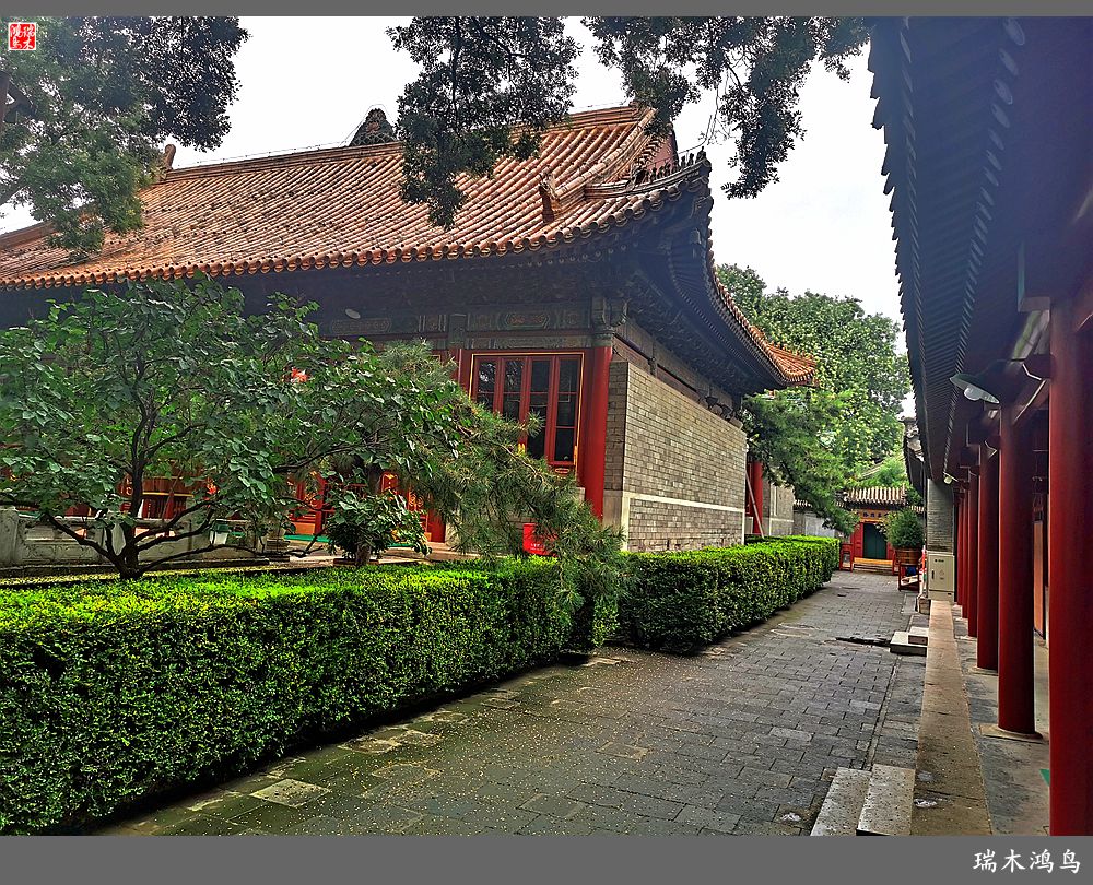 【京城寺庙集锦】弘慈广济——京城古刹广济寺