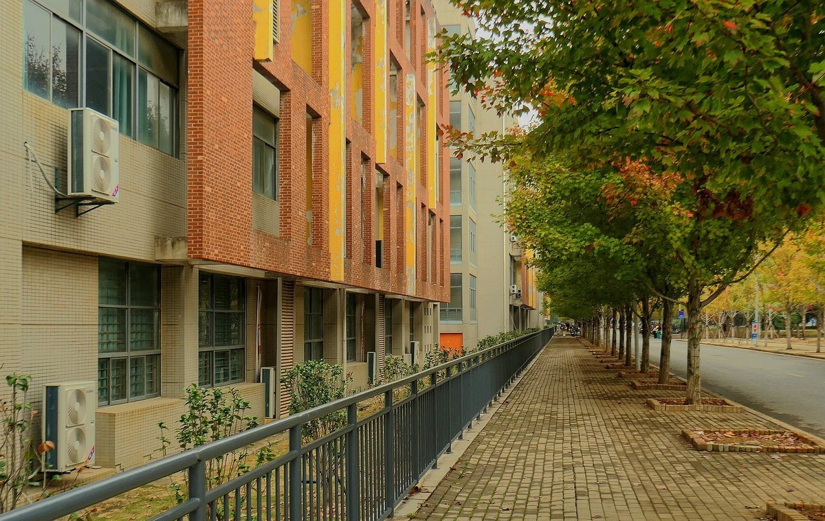 文华学院拍红枫