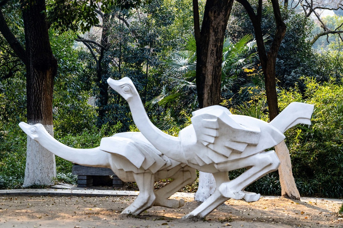 庐州印象（425）环城风景区