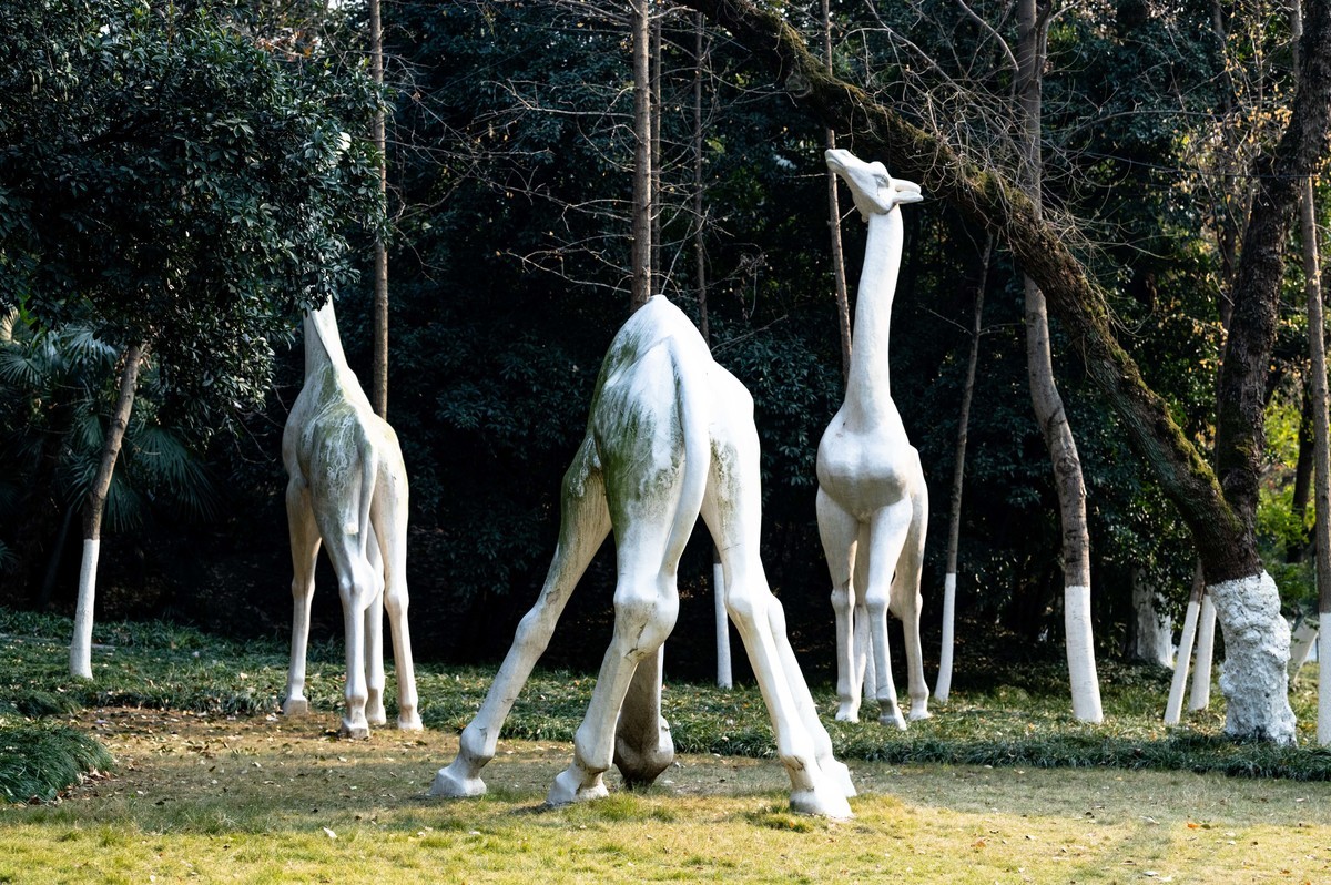 庐州印象（425）环城风景区