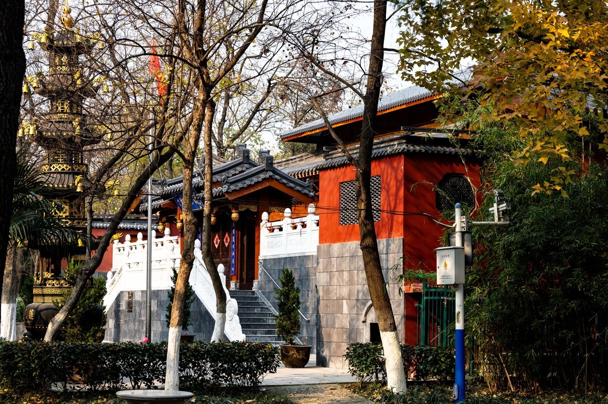 庐州印象（425）环城风景区