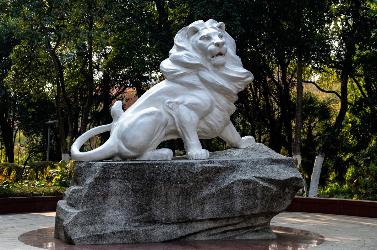 庐州印象（425）环城风景区