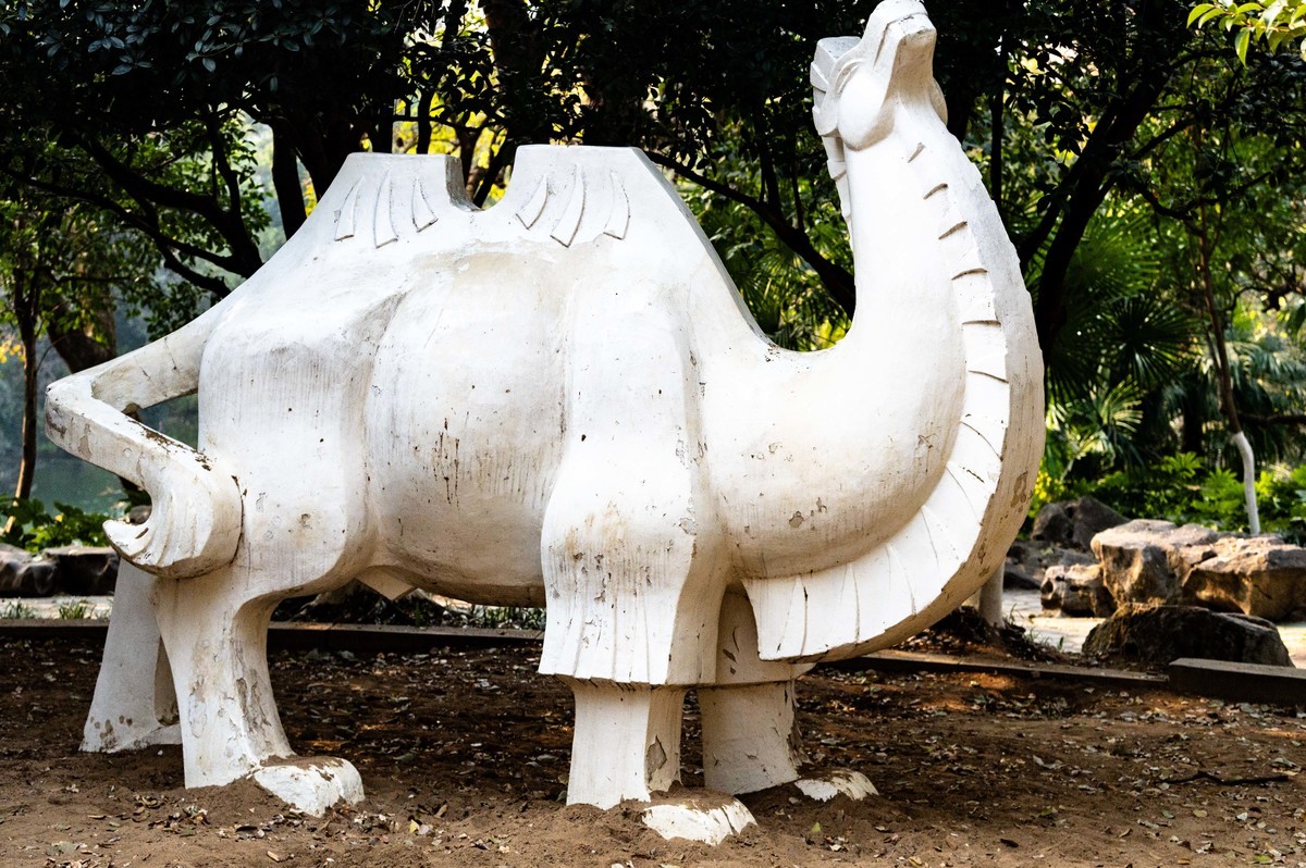 庐州印象（425）环城风景区