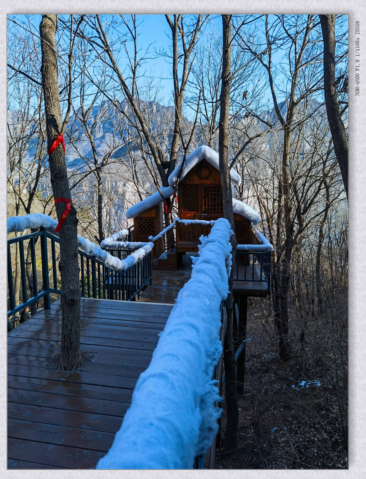 游宝泉【乙巳年-12】