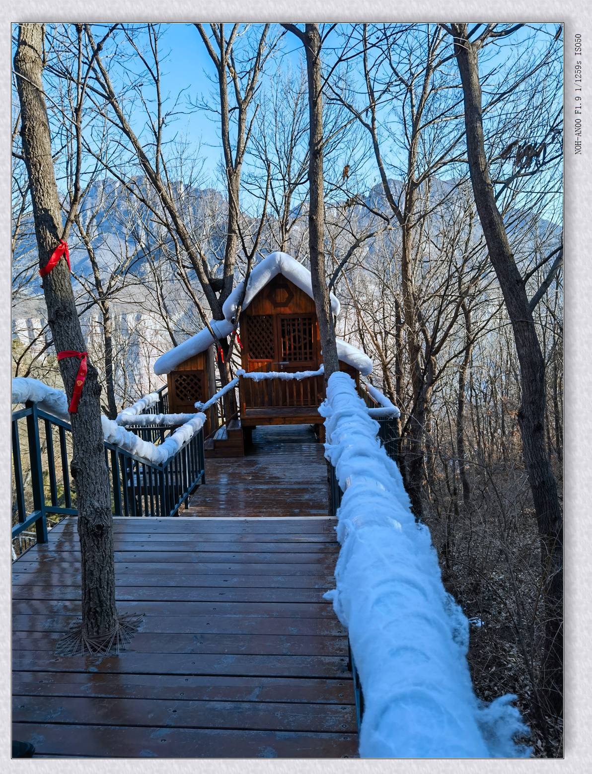 游宝泉【乙巳年-12】