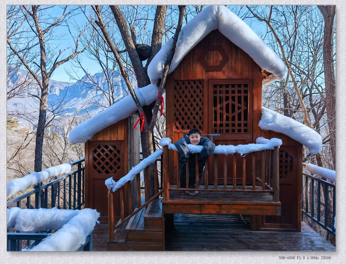 游宝泉【乙巳年-12】