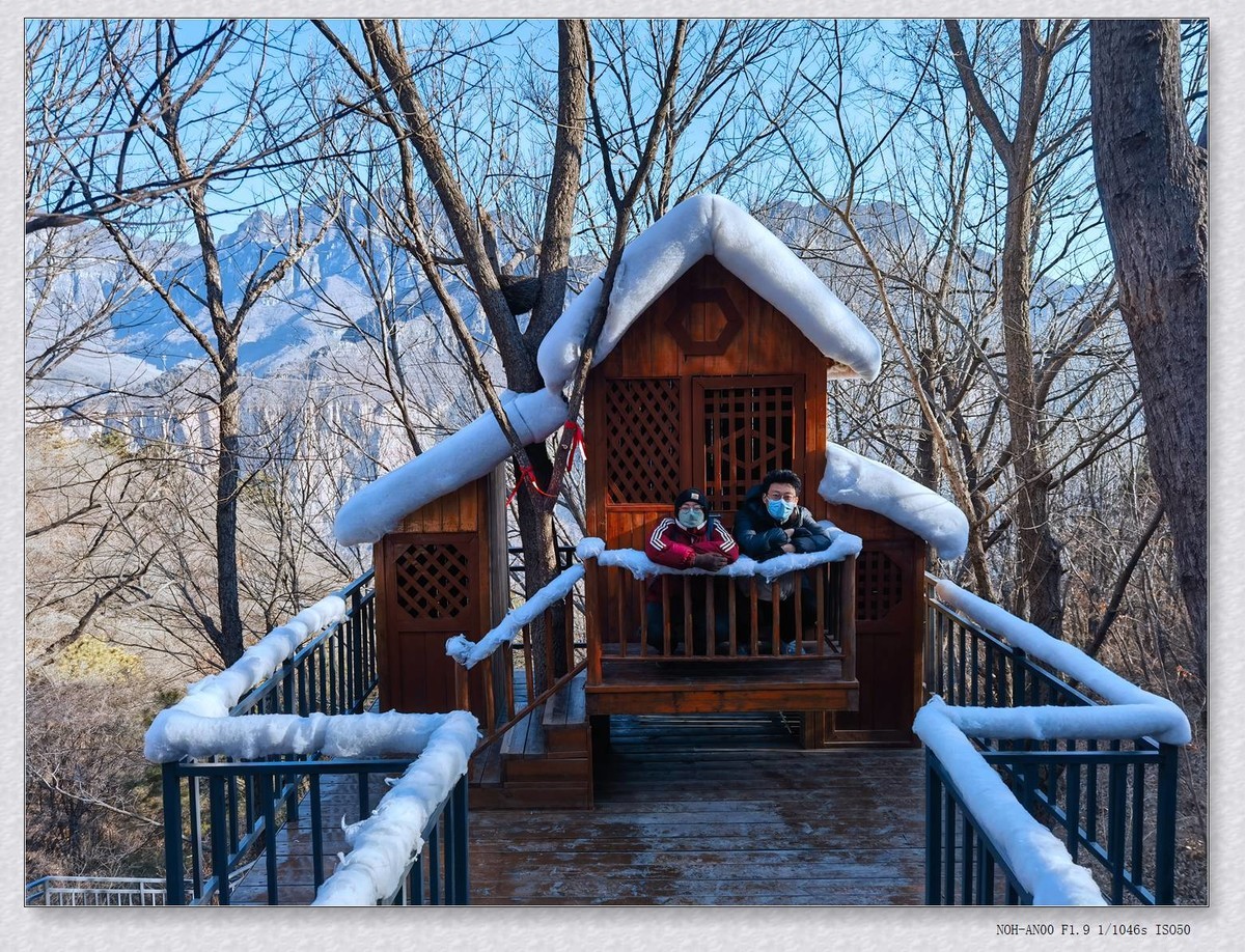 游宝泉【乙巳年-12】