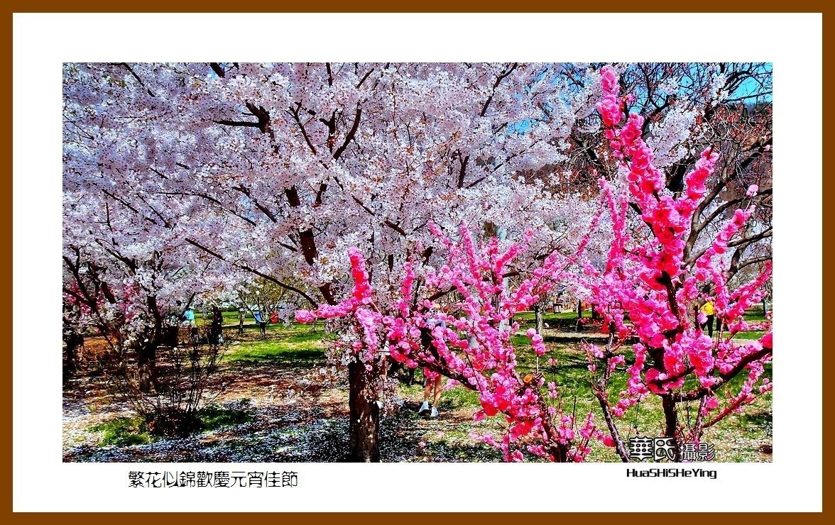 色眼看花——繁花似锦欢庆元宵佳节