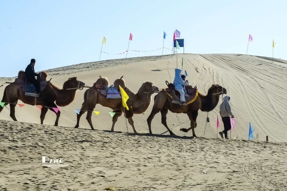 南疆行——罗布人村寨的秋（3）