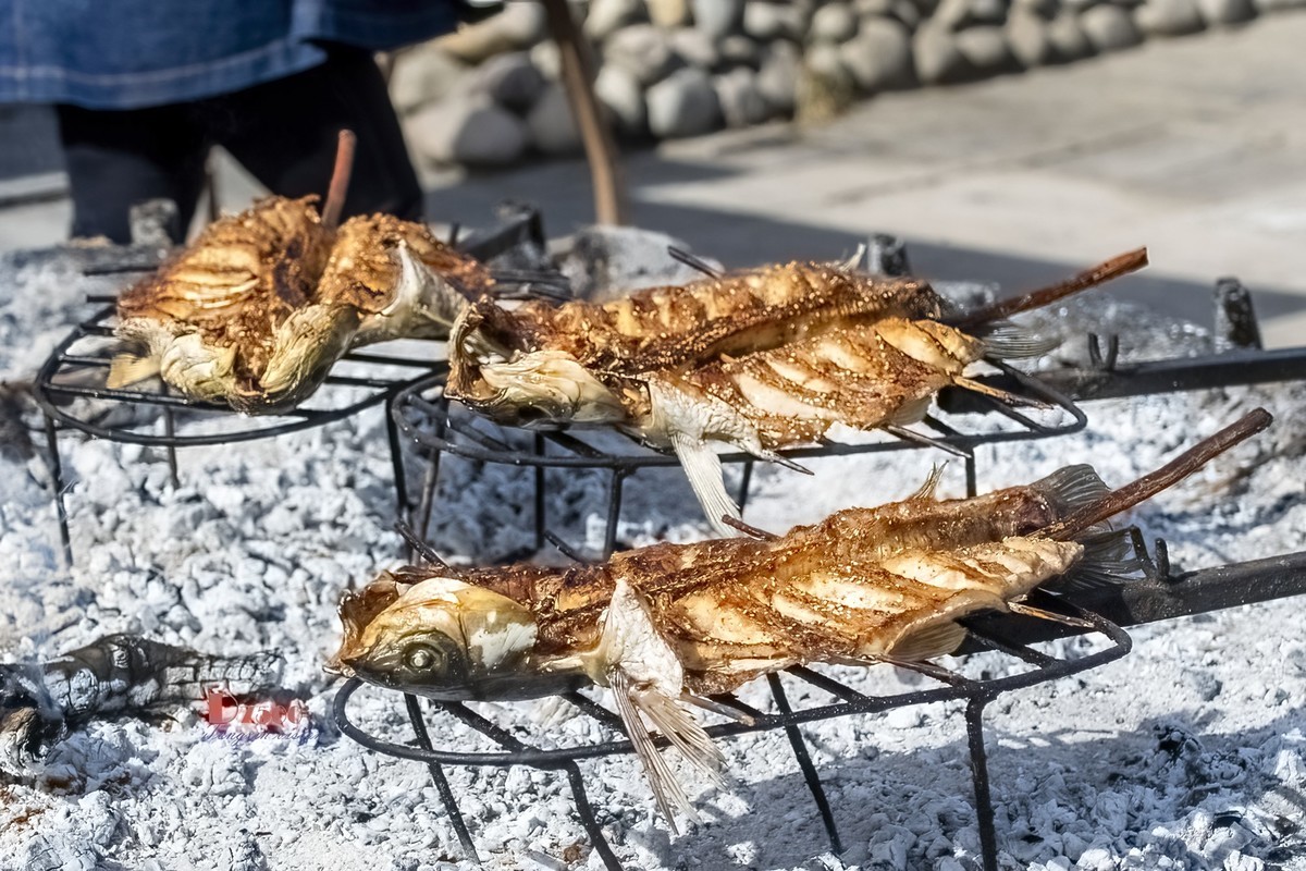 南疆行——罗布人村寨的秋（3）