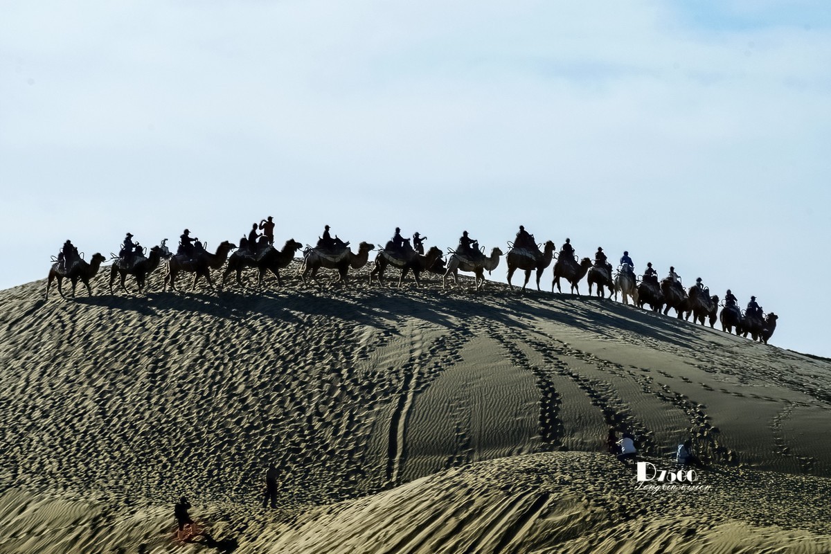 南疆行——罗布人村寨的秋（3）
