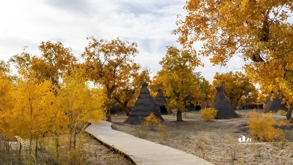 南疆行——罗布人村寨的秋（3）