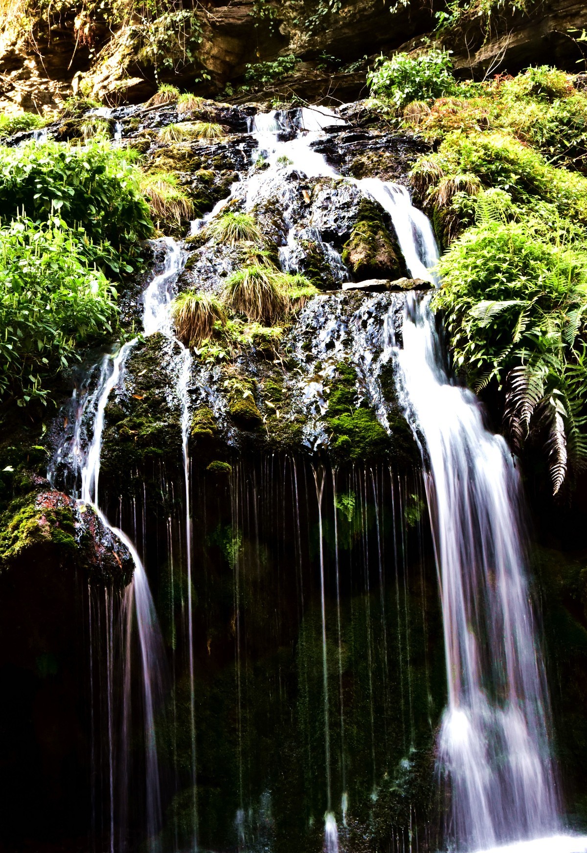 三峡人家风光好