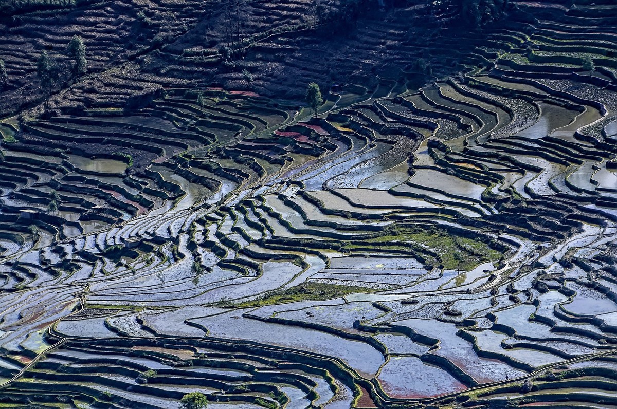 云南红河·撒玛坝梯田（2）