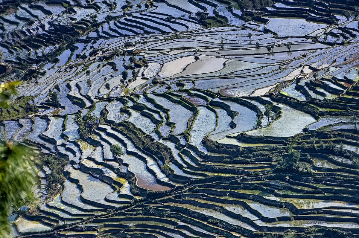 云南红河·撒玛坝梯田（2）