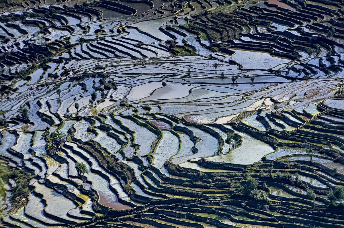 云南红河·撒玛坝梯田（2）