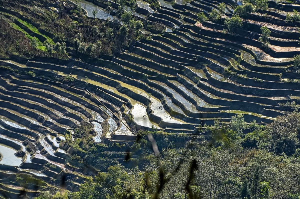 云南红河·撒玛坝梯田（2）