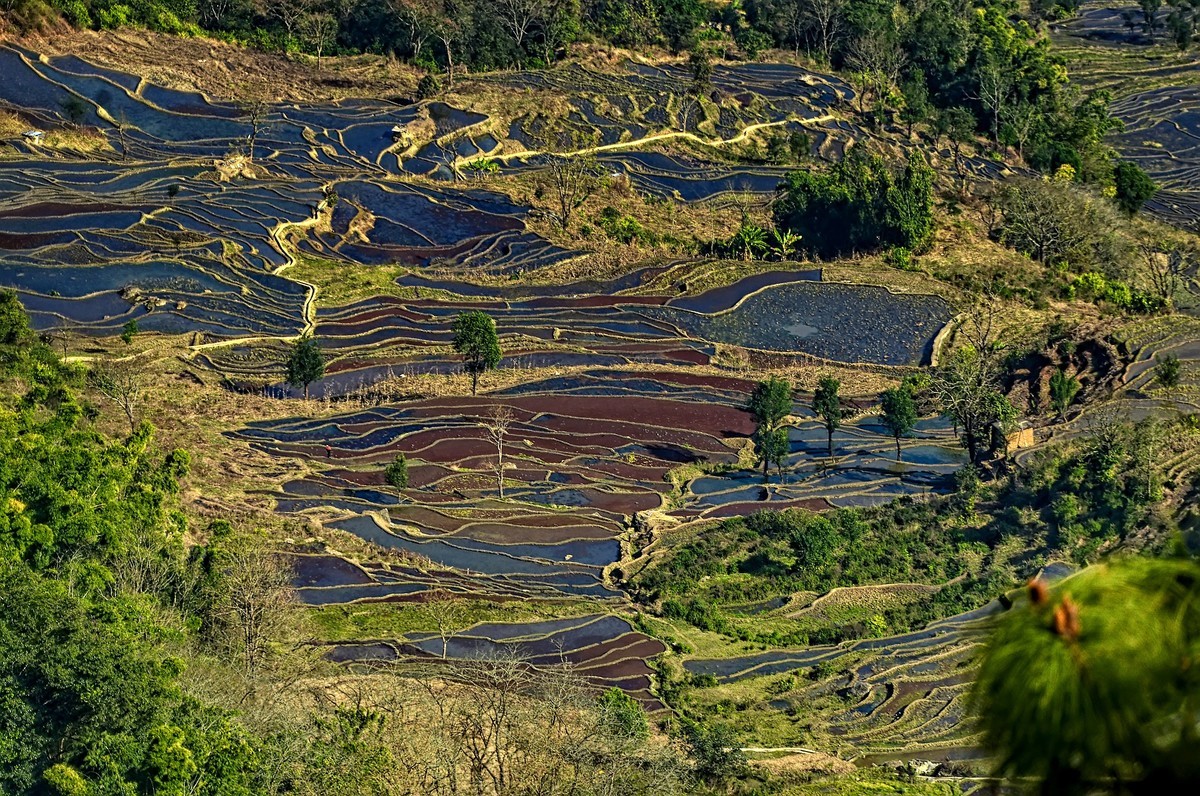 云南红河·撒玛坝梯田（2）
