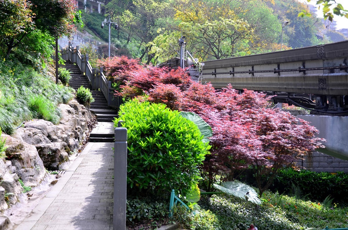 重庆主城“半山崖线”风景 (完)